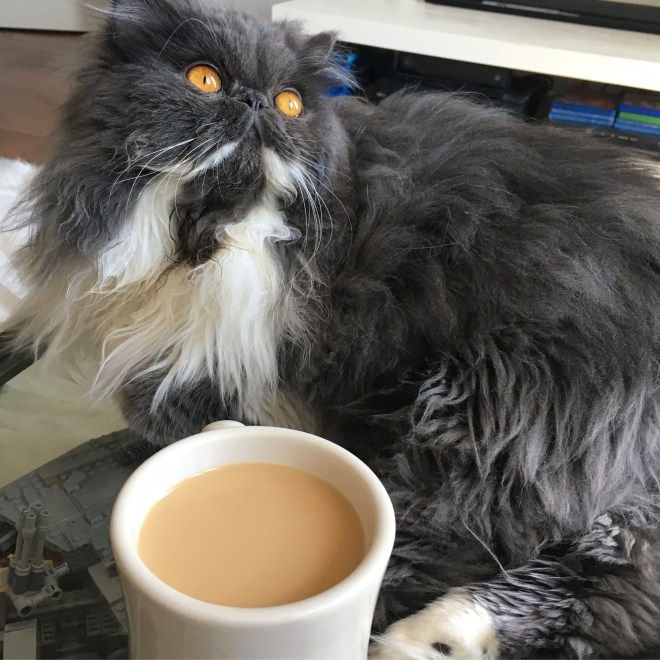 15D9D4F5-75D0-47B5-B8D9-6BB6BEB8F52C