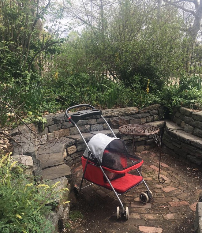 404CBE25-927A-46DC-BBA1-3AEF799CB553