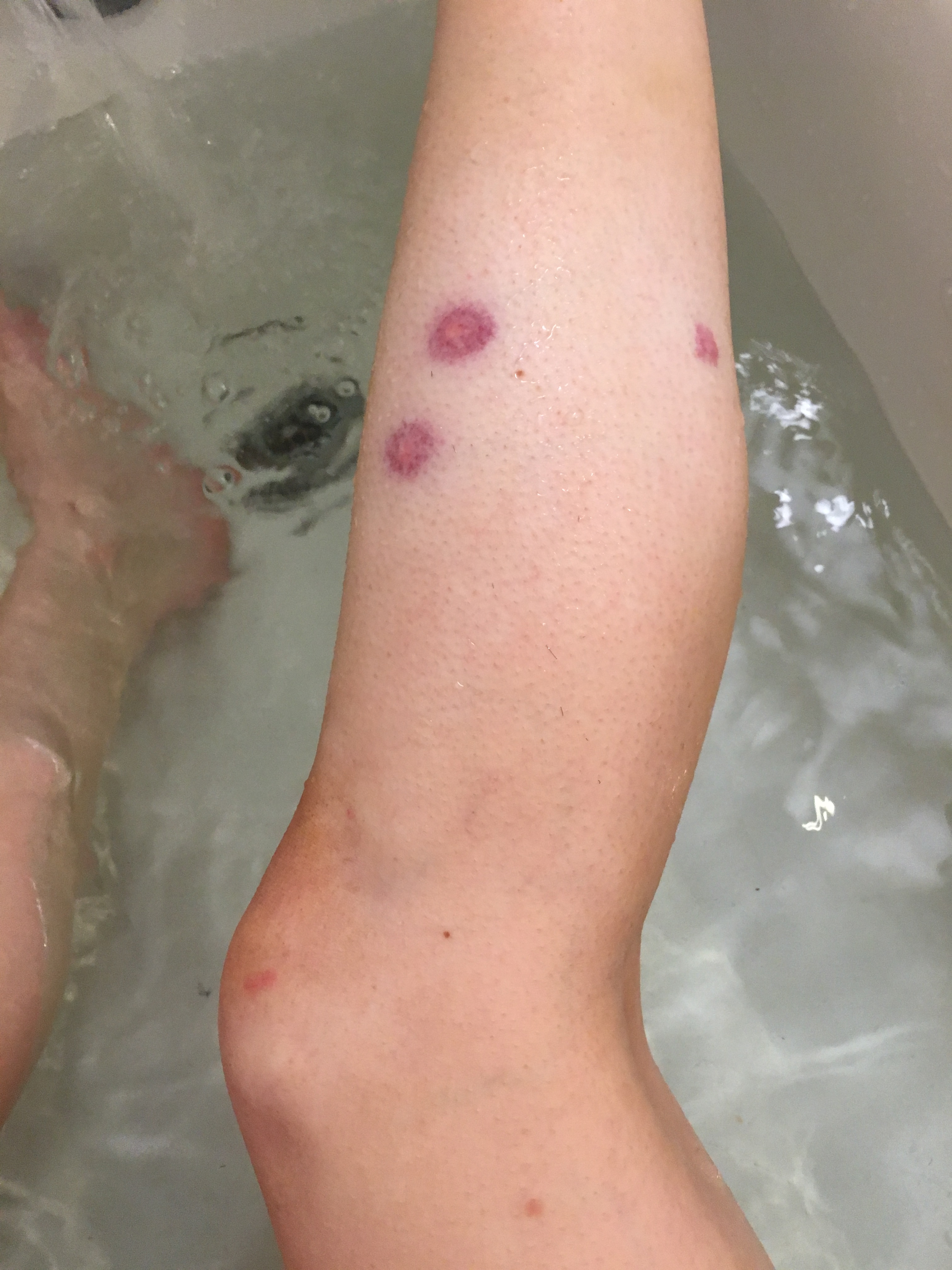 58561958884__36921EC5-2BC7-4FDB-9EC4-382C76AD6365