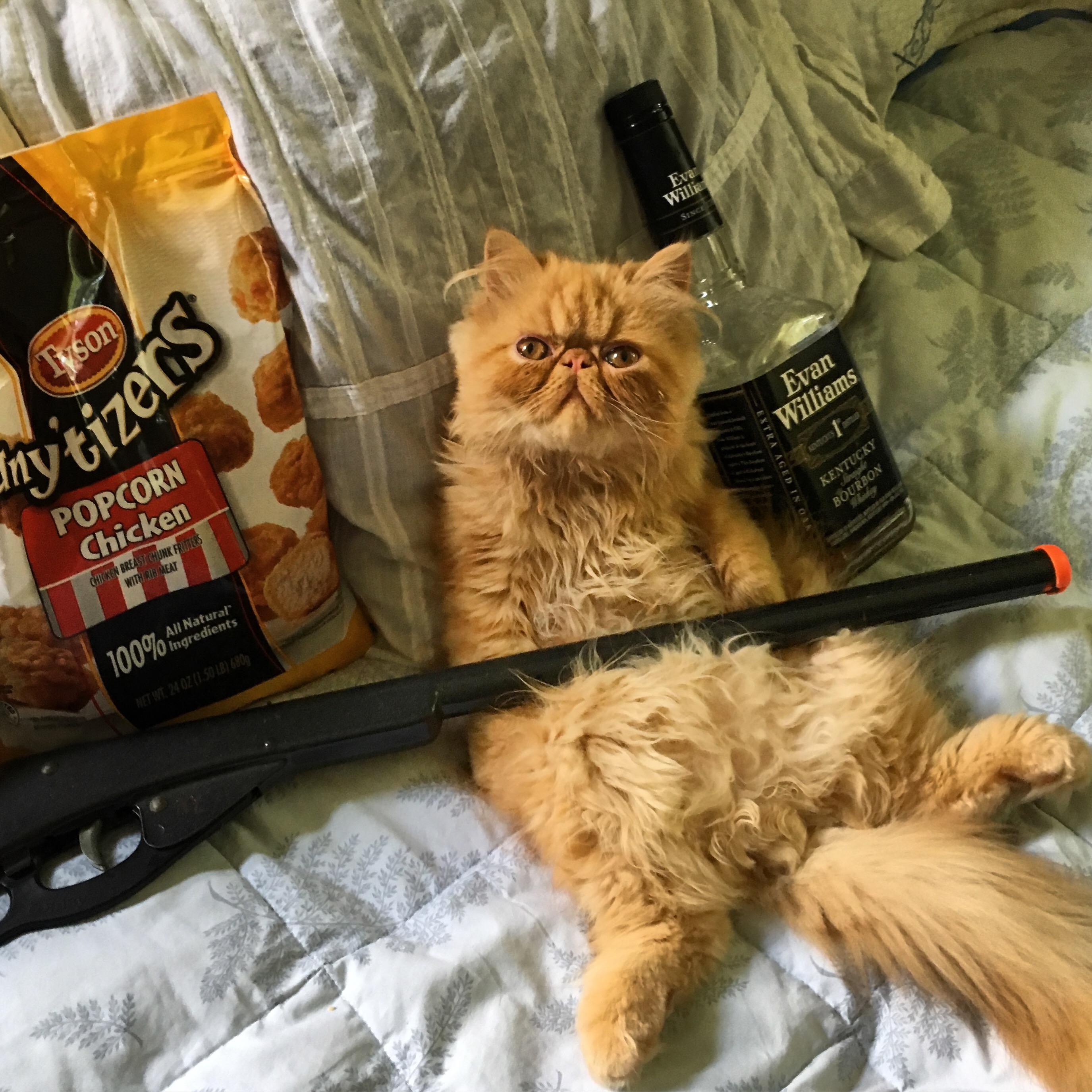 B87E4F98-4AA3-4D21-ACBB-DA24AB3F65EA