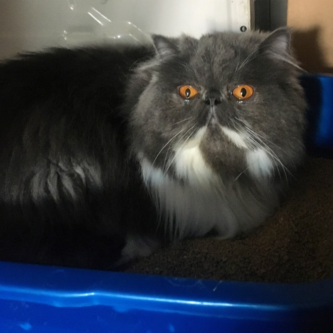 69B88634-9A5B-433B-BA39-6301826D5592