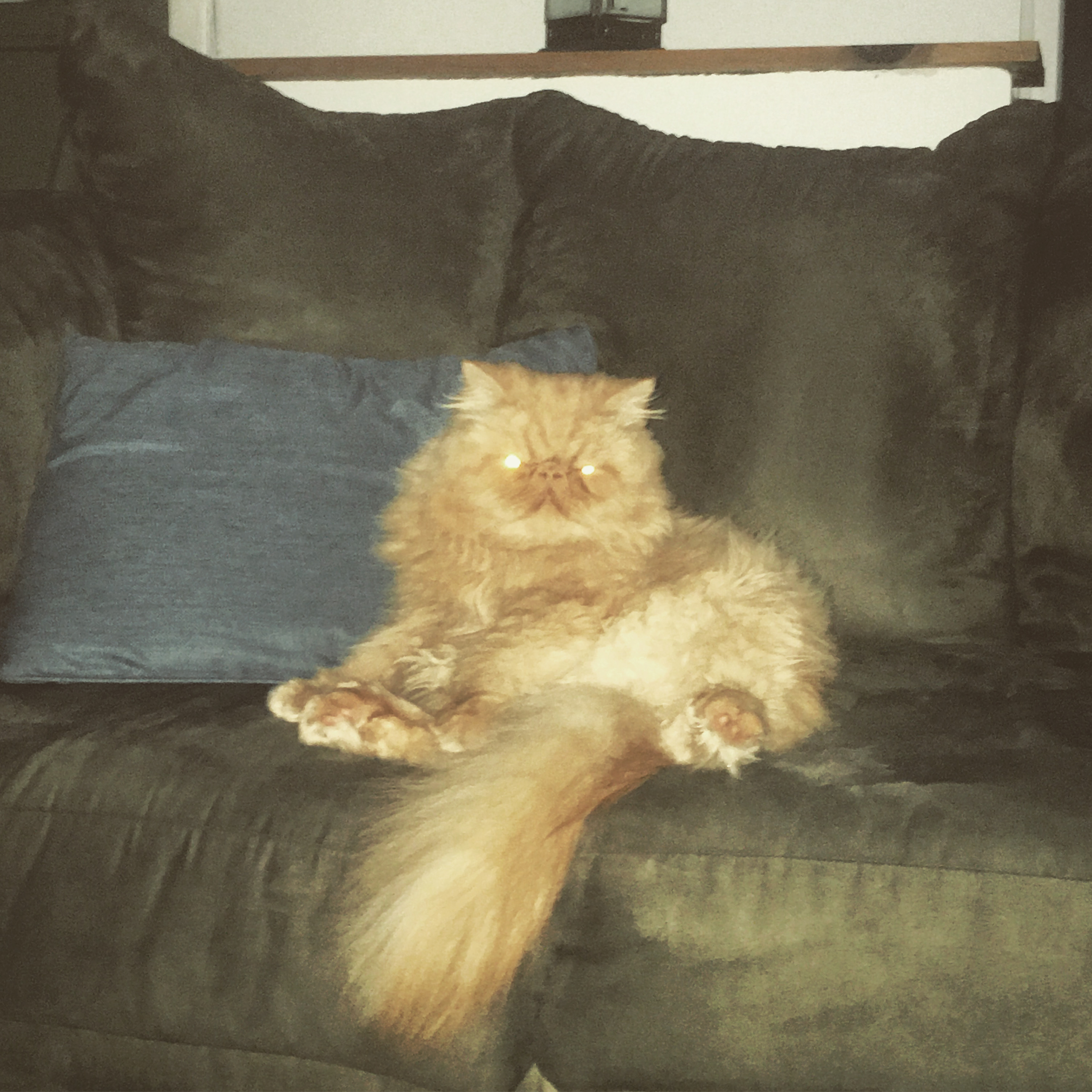 6BBE173F-6354-41D9-8EB7-B5CC36F2F018